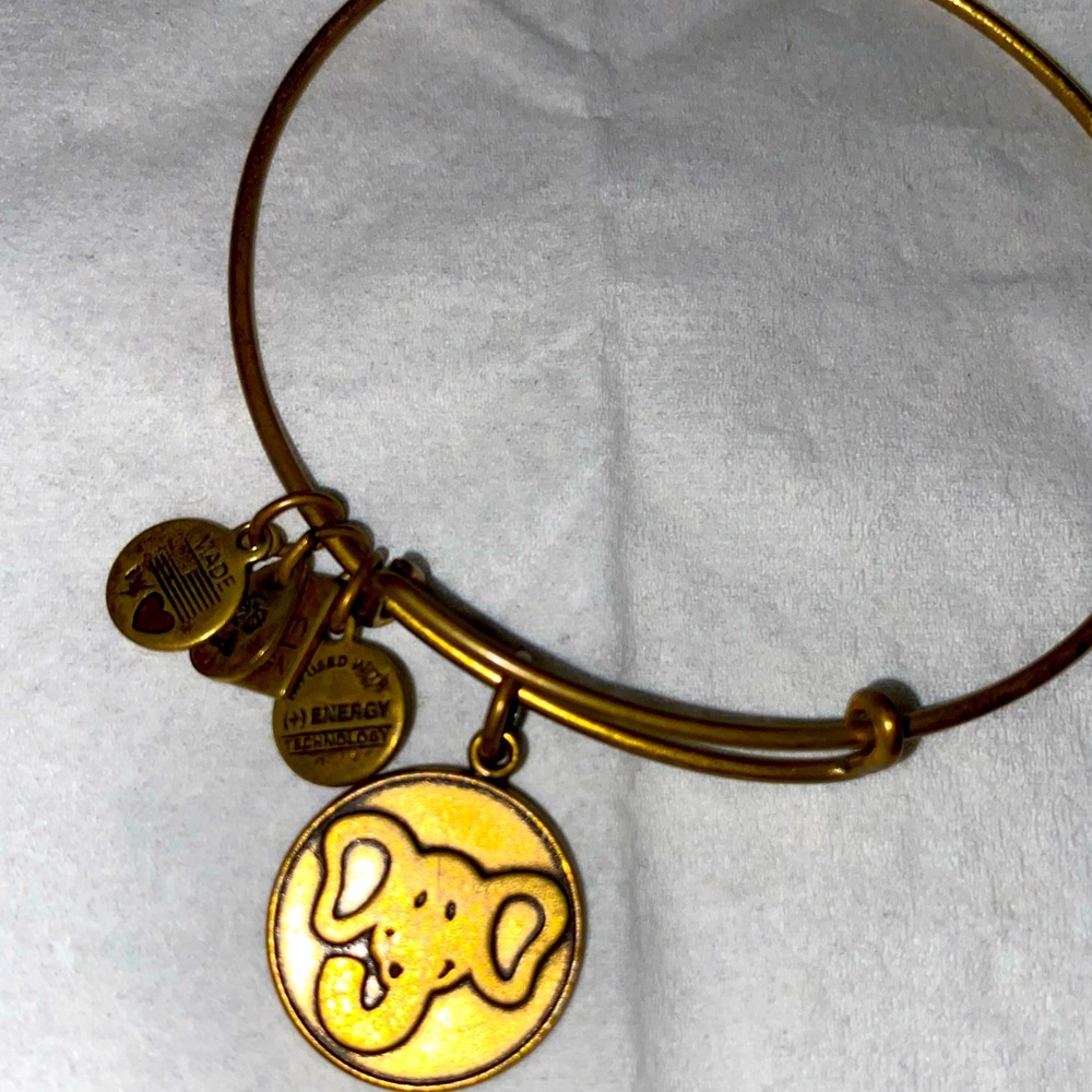 Alex and Ani bracelet